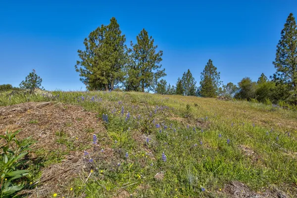 $399,000 | 0 Trembath Mtn Road, Fiddletown, CA 95629