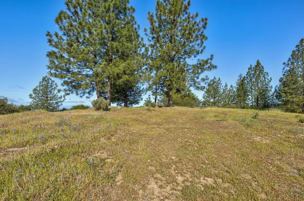 $399,000 | 0 Trembath Mtn Road, Fiddletown, CA 95629