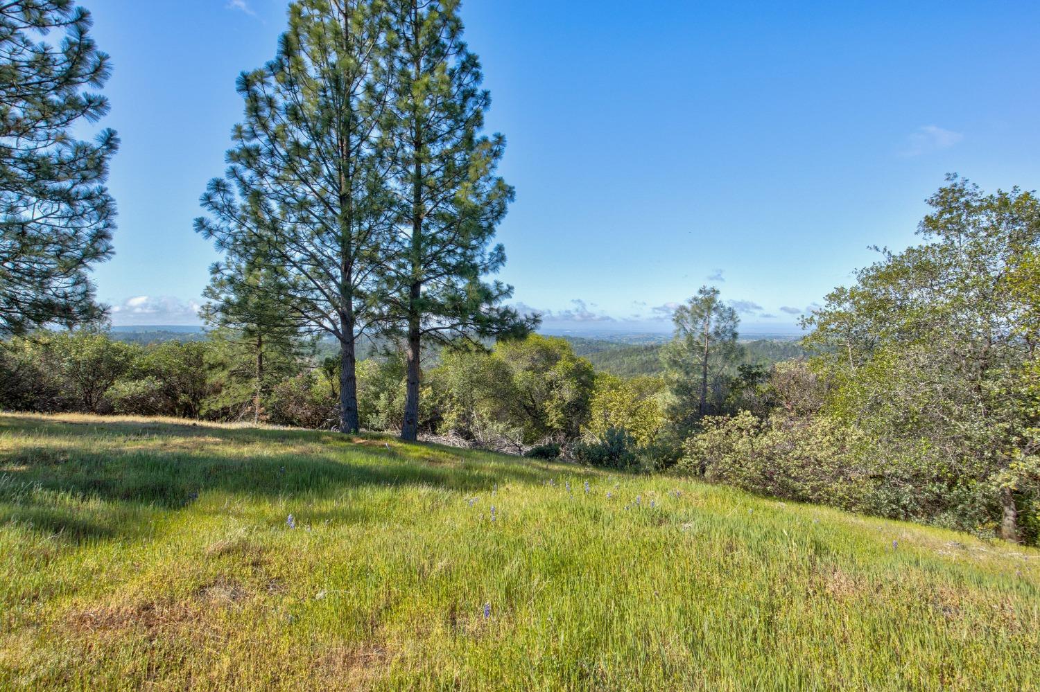 0 Trembath Mtn Road Fiddletown, CA 95629 - Photo 33 of 54