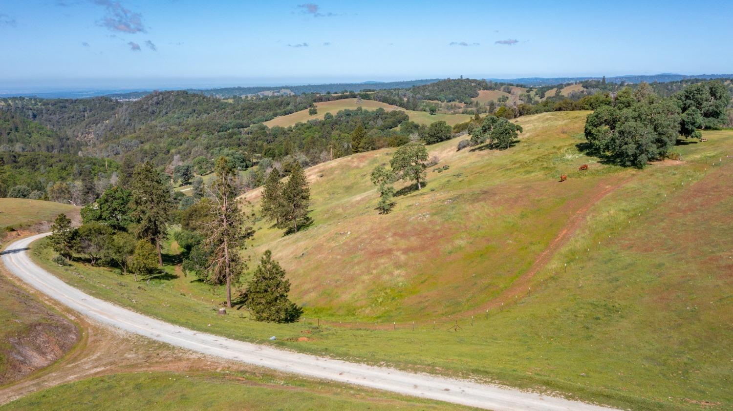 0 Trembath Mtn Road Fiddletown, CA 95629 - Photo 37 of 54