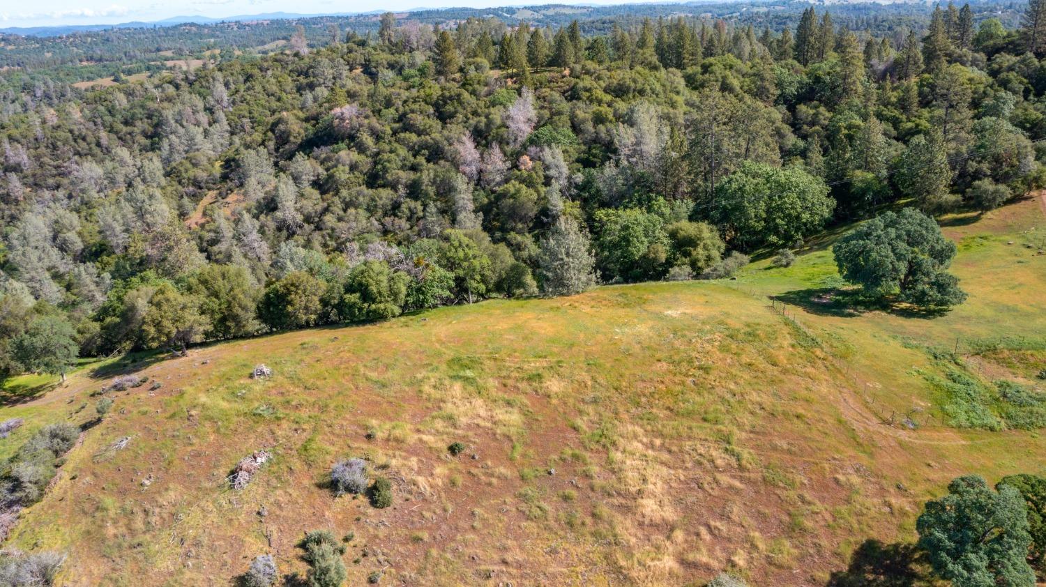 0 Trembath Mtn Road Fiddletown, CA 95629 - Photo 41 of 54