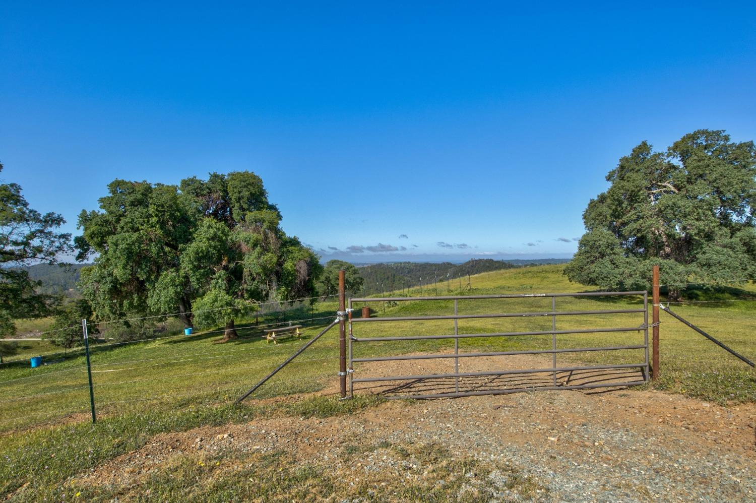 0 Trembath Mtn Road Fiddletown, CA 95629 - Photo 5 of 54