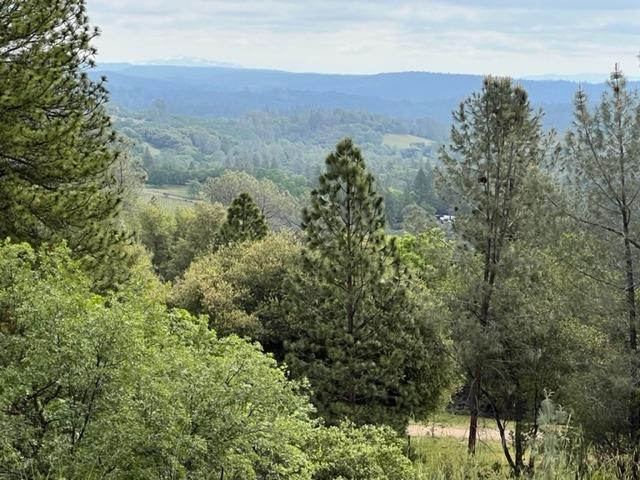 0 Trembath Mtn Road Fiddletown, CA 95629 - Photo 6 of 54