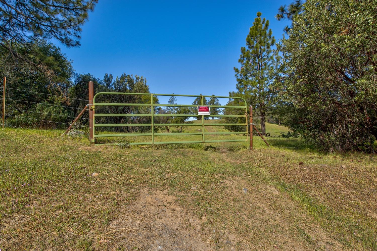 0 Trembath Mtn Road Fiddletown, CA 95629 - Photo 8 of 54