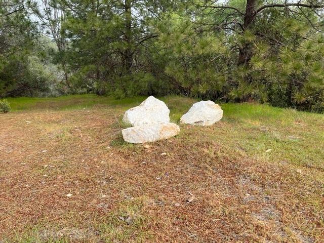 0 Trembath Mtn Road Fiddletown, CA 95629 - Photo 9 of 54