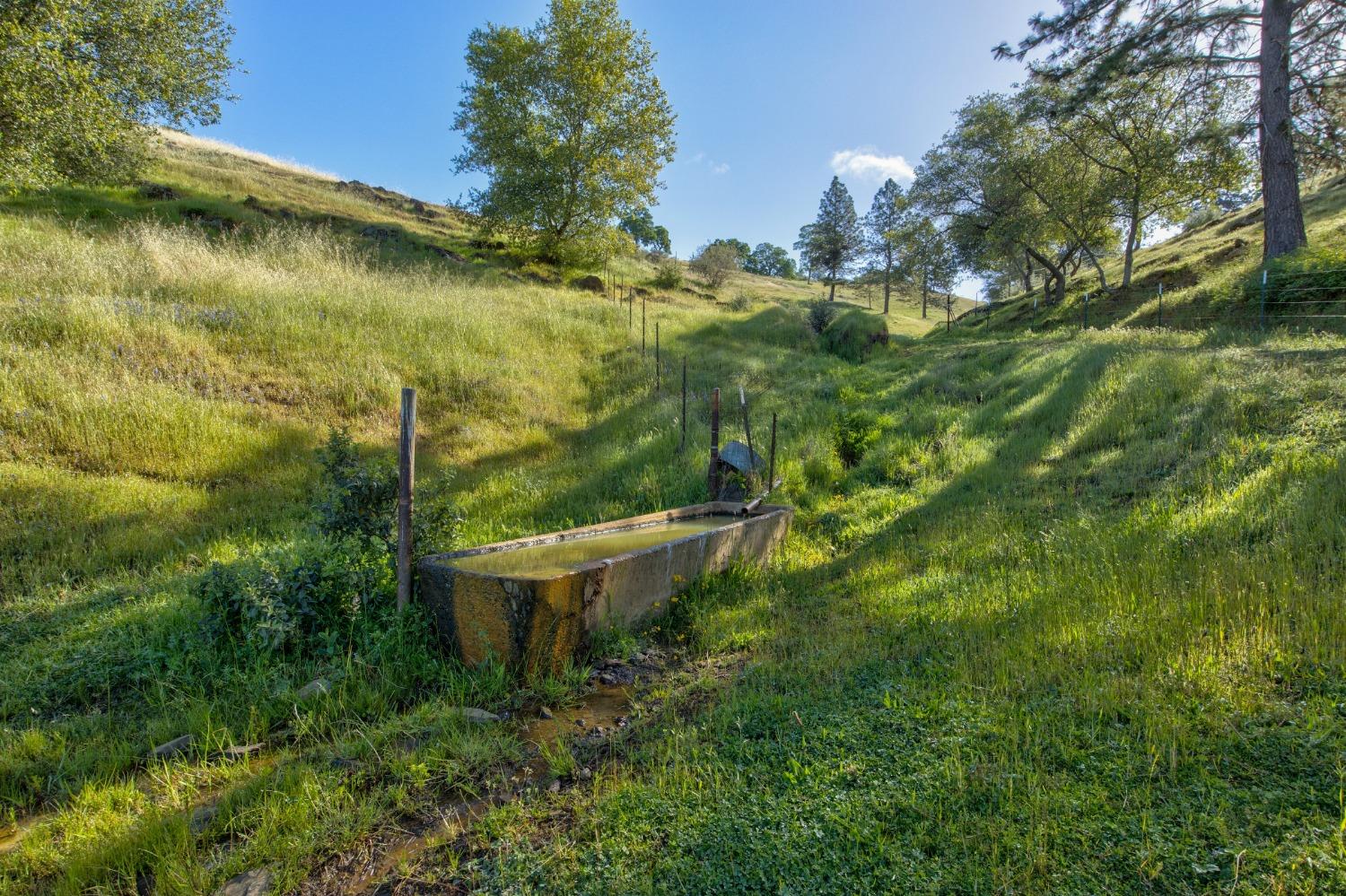 0 Trembath Mtn Road Fiddletown, CA 95629 - Photo 10 of 54