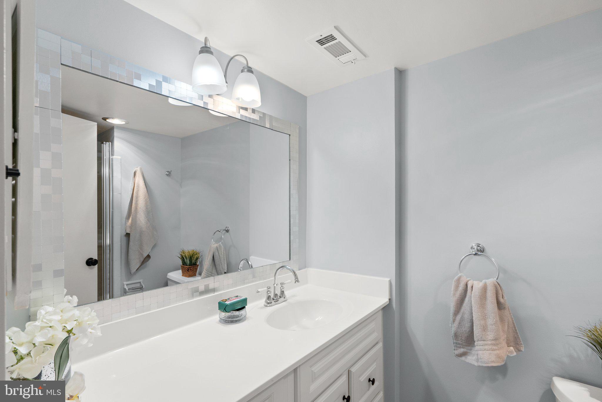 2100 Washington Avenue, Unit 10A Silver Spring, MD 20910 - Photo 21 of 26 a bathroom with a sink vanity and a mirror