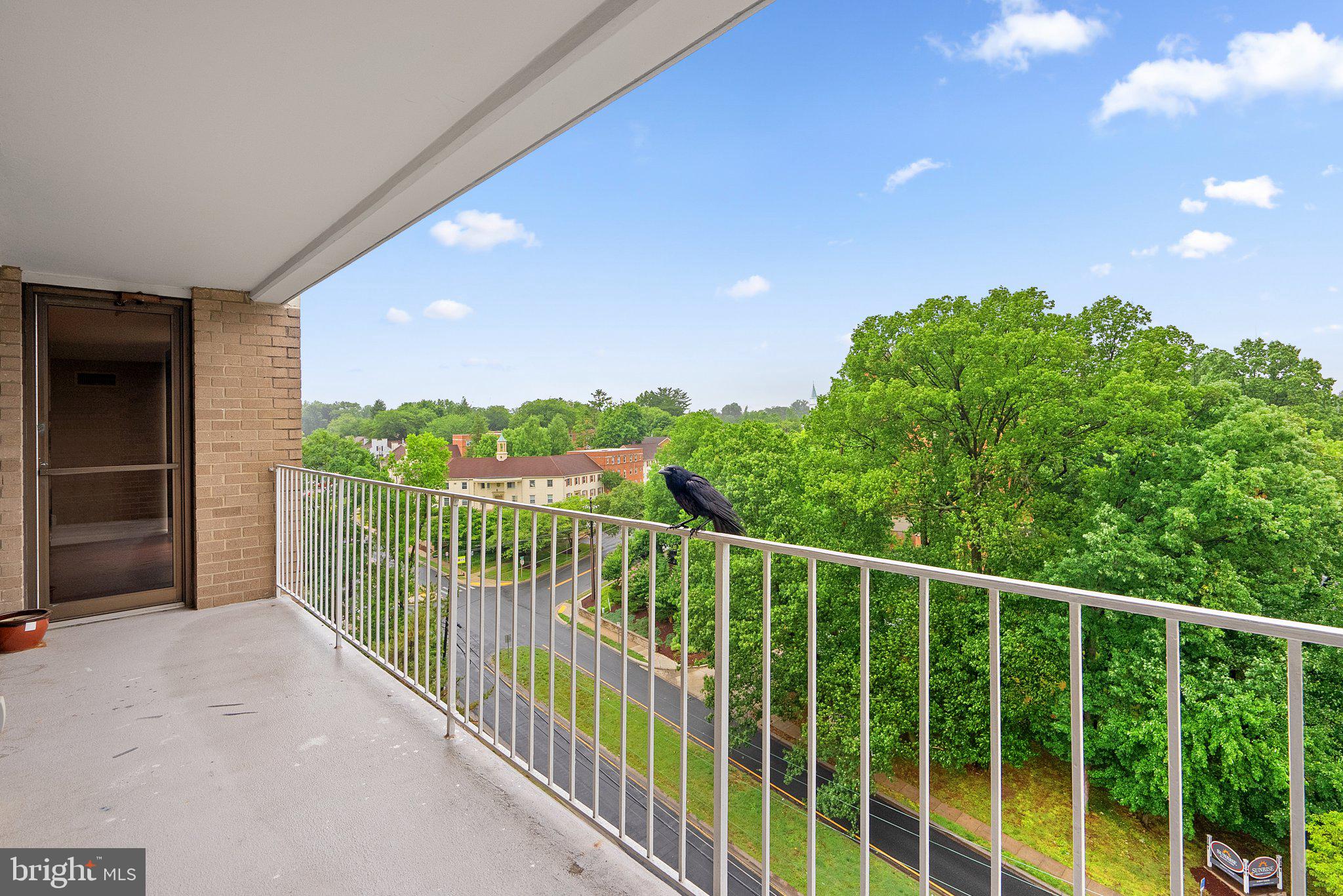 2100 Washington Avenue, Unit 10A Silver Spring, MD 20910 - Photo 25 of 26 a view of a balcony