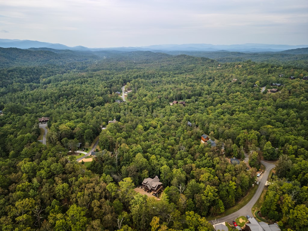 658 Highland Gap Mineral Bluff Mineral Bluff, GA 30559 - Photo 44 of 49