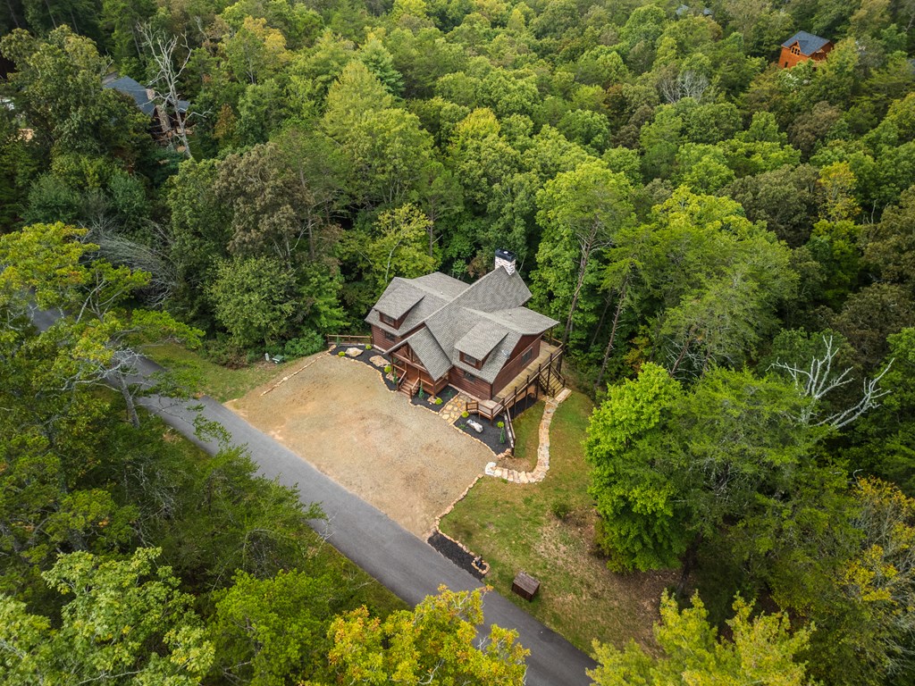 658 Highland Gap Mineral Bluff Mineral Bluff, GA 30559 - Photo 46 of 49