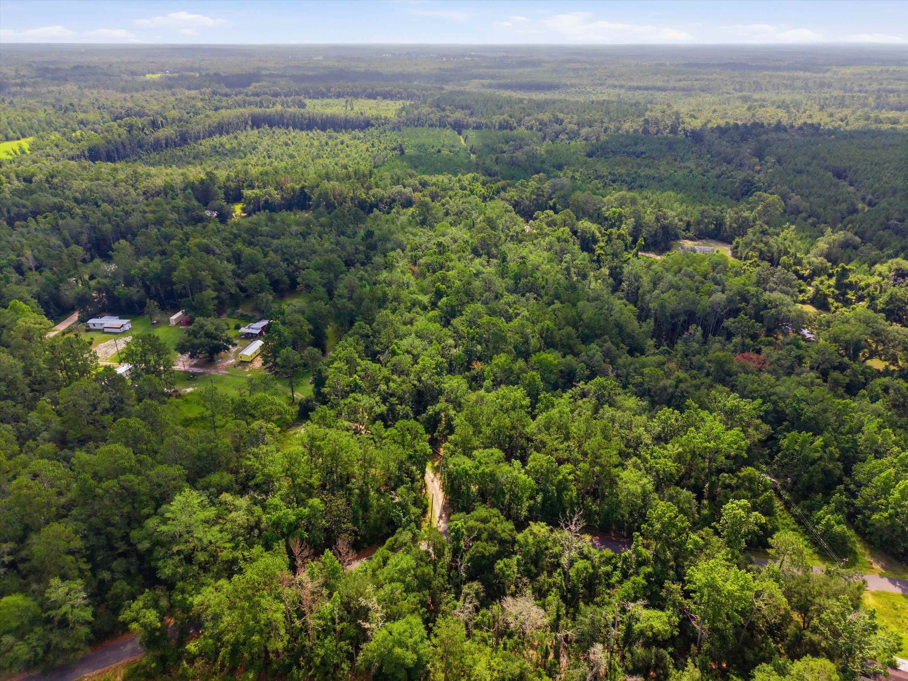 Xxx Neely Road Monticello, FL 32344 - Photo 13 of 37