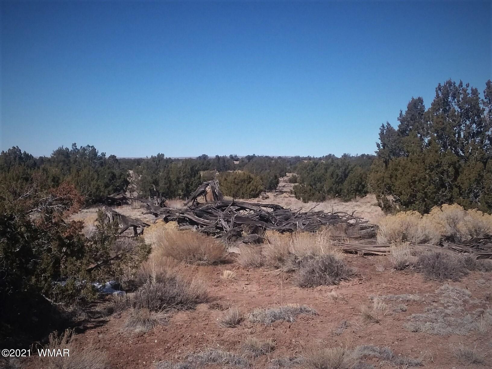 9 Sec 17 T17n R27e Chambers, AZ 86502 - Photo 1 of 9