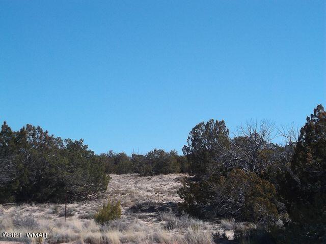 9 Sec 17 T17n R27e Chambers, AZ 86502 - Photo 2 of 9