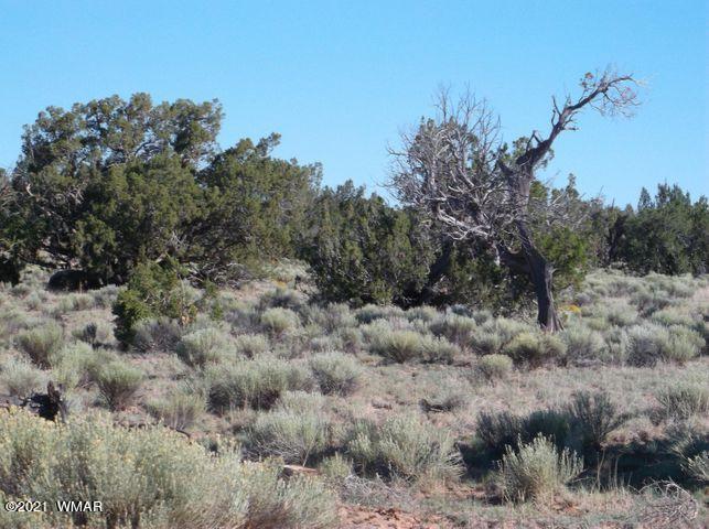 9 Sec 17 T17n R27e Chambers, AZ 86502 - Photo 3 of 9