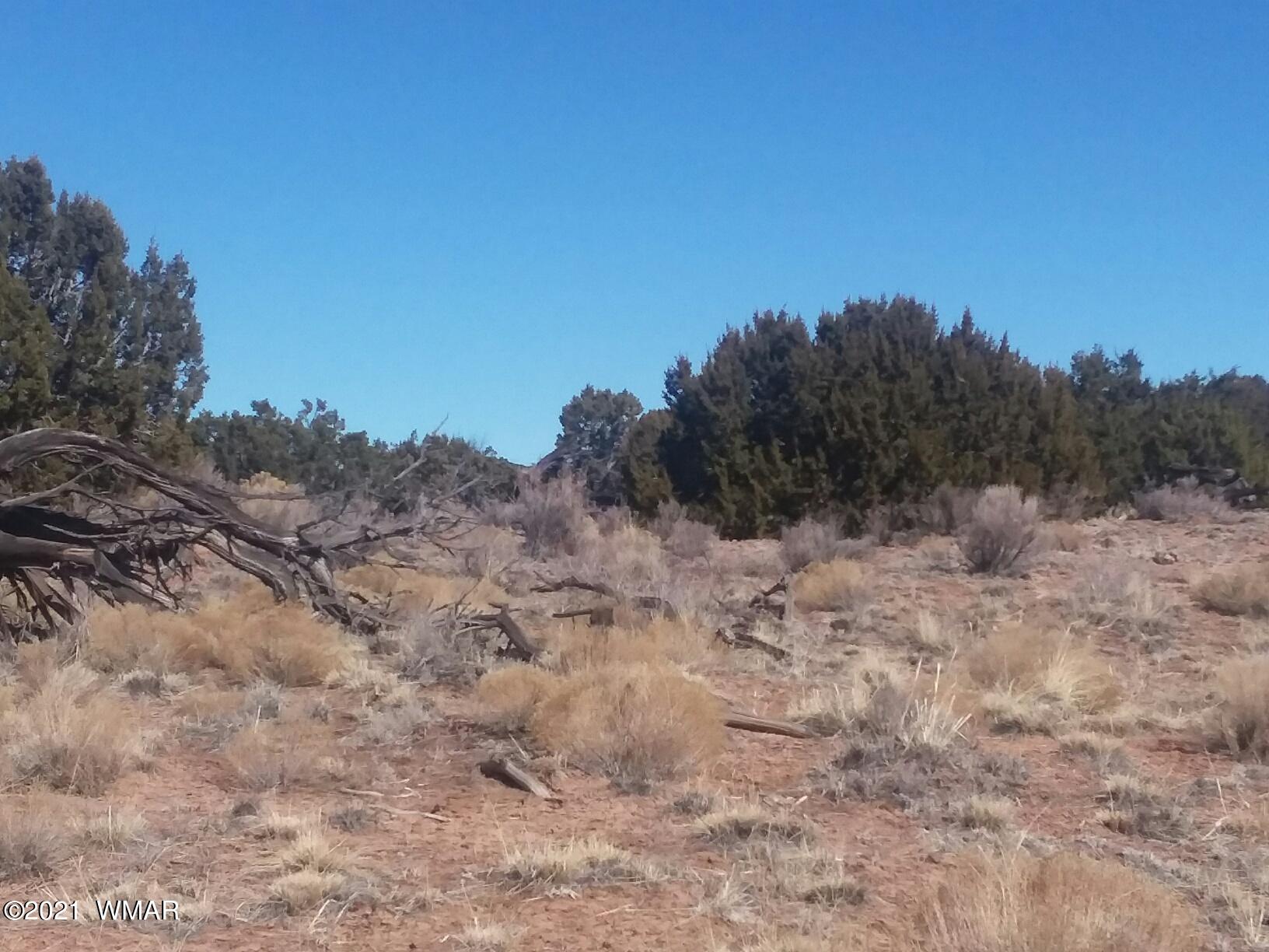 9 Sec 17 T17n R27e Chambers, AZ 86502 - Photo 4 of 9