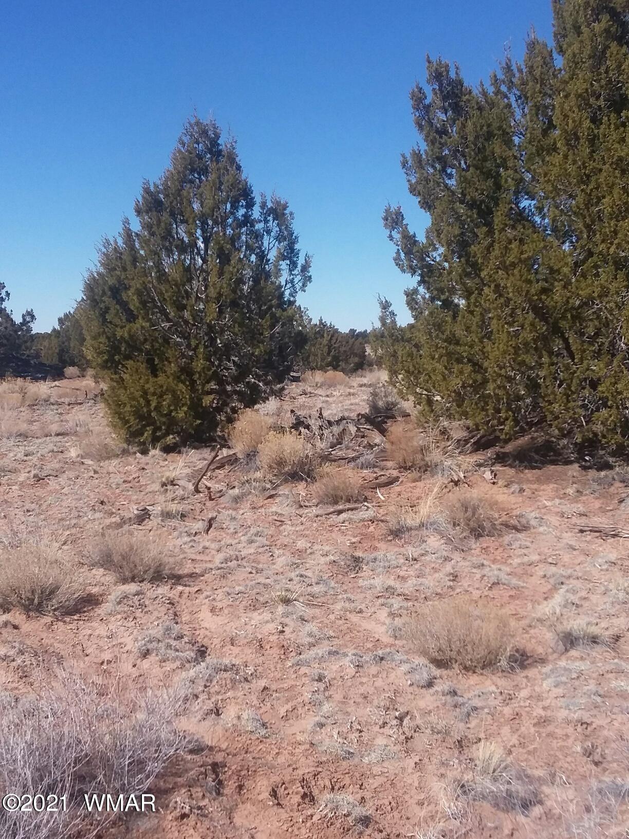 9 Sec 17 T17n R27e Chambers, AZ 86502 - Photo 5 of 9