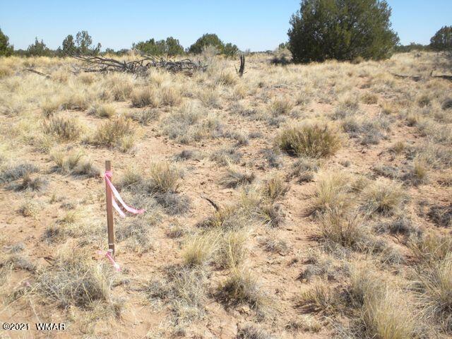 9 Sec 17 T17n R27e Chambers, AZ 86502 - Photo 6 of 9
