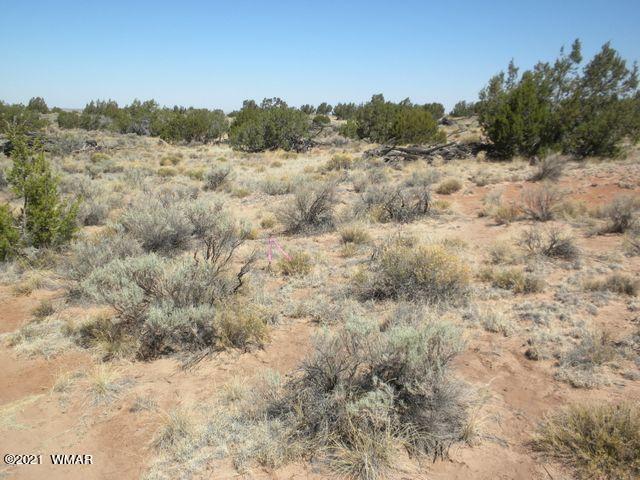 9 Sec 17 T17n R27e Chambers, AZ 86502 - Photo 7 of 9