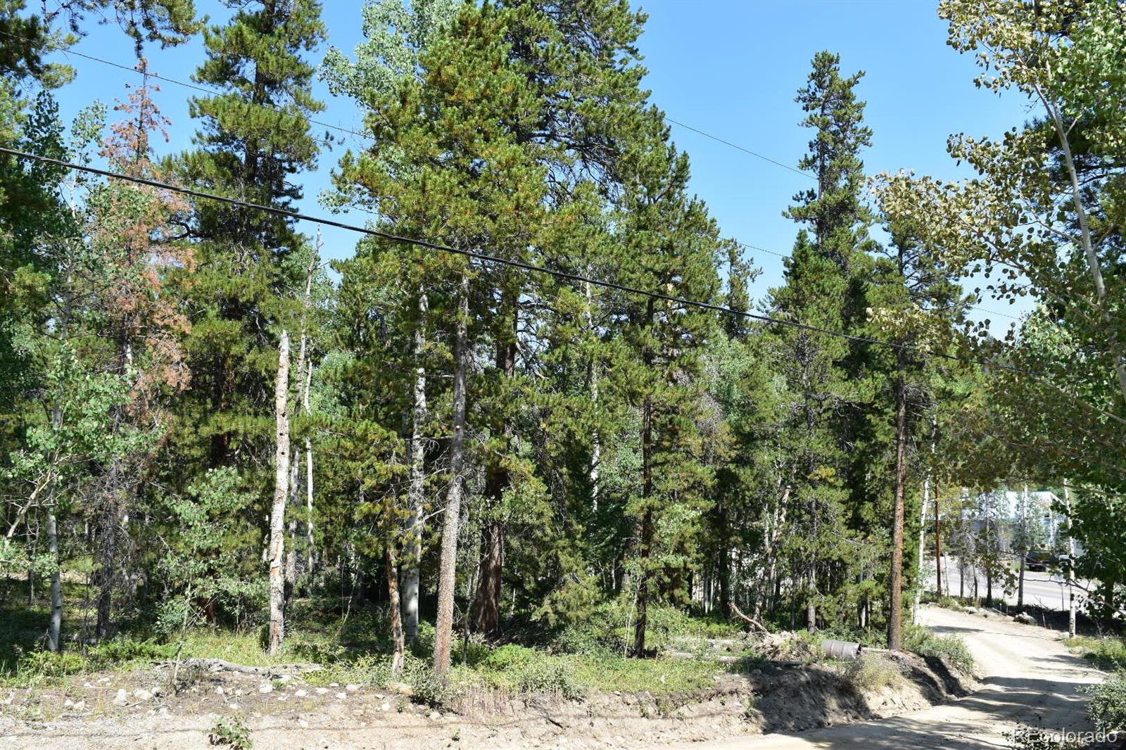 30 Severance Lodge Road Black Hawk, CO 80422 - Photo 8 of 12 Gallery Image 8