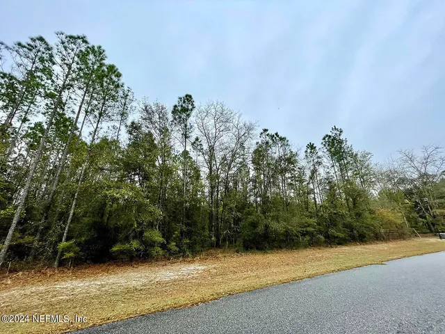 a view of a field with trees in background