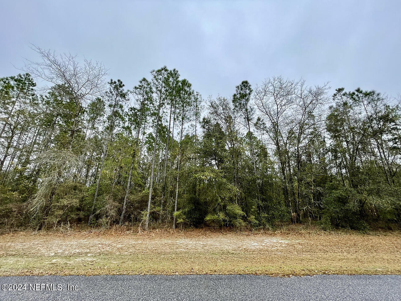 15436 Bullock Bluff Road Bryceville, FL 32009 - Photo 12 of 19