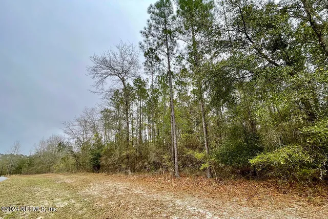 a view of a city with lush green forest