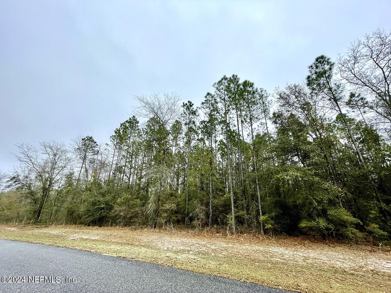 15436 Bullock Bluff Road Bryceville, FL 32009 - Photo 14 of 19