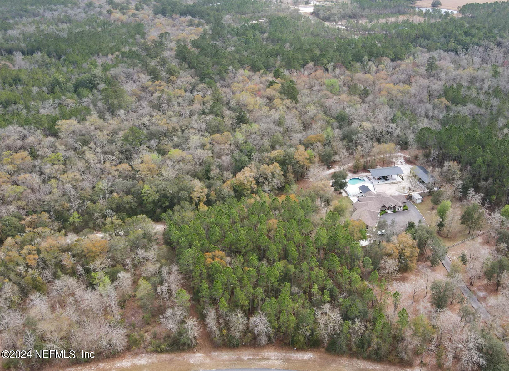 15436 Bullock Bluff Road Bryceville, FL 32009 - Photo 5 of 19 a view of a yard of a house