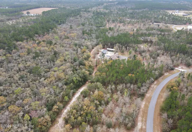 a view of a forest with a street