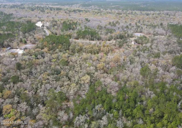 a view of a dry yard with green space
