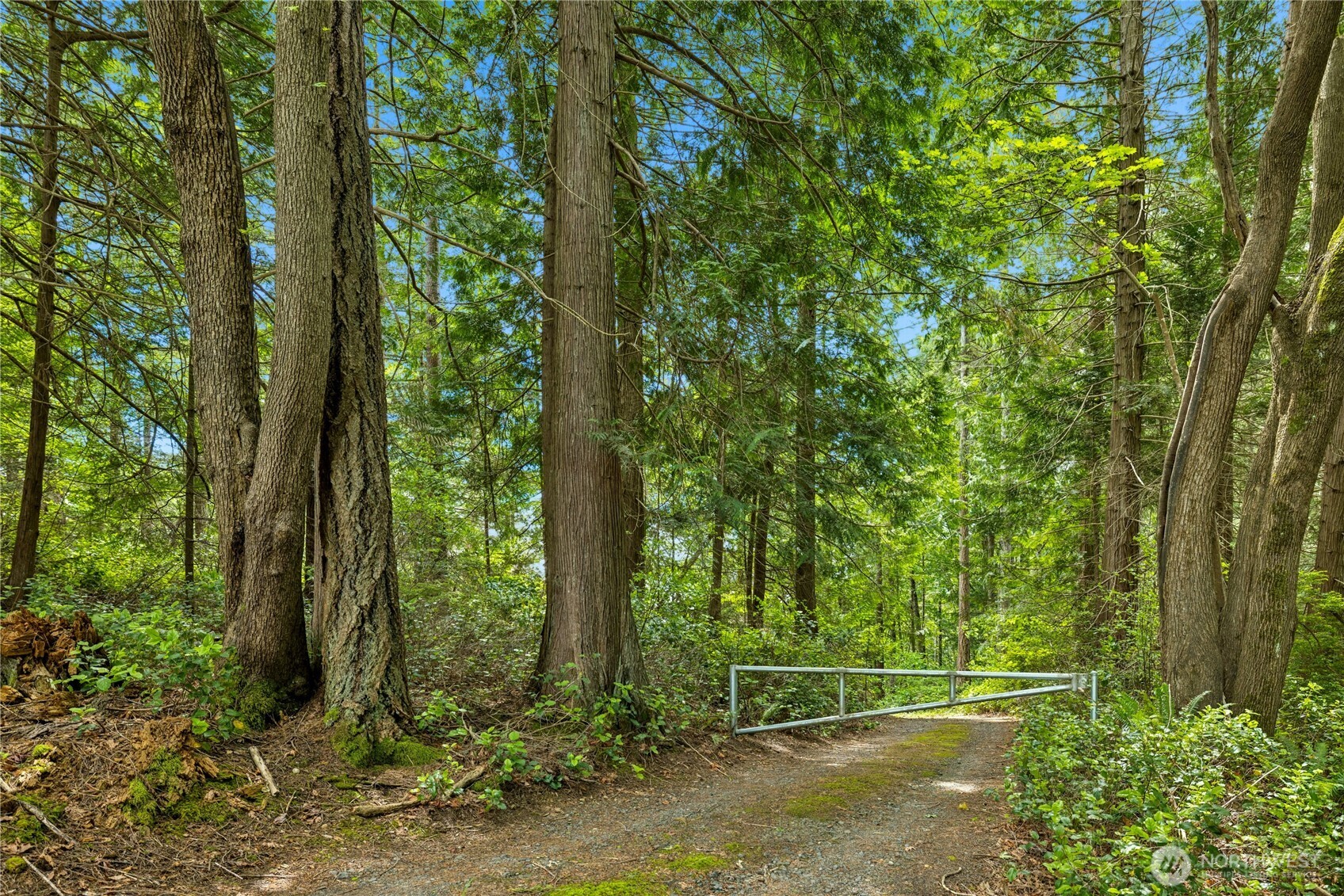 0 K-tract 9 Mcdonald Road Quilcene, WA 98376 - Photo 12 of 31