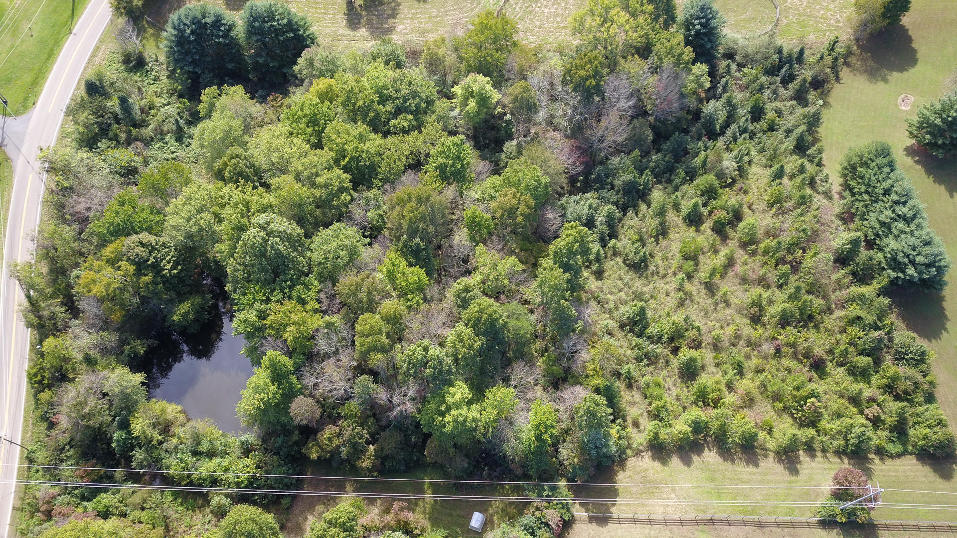 21 R Montvale Road Maryville, TN 37803 - Photo 1 of 9 DSC1965-13