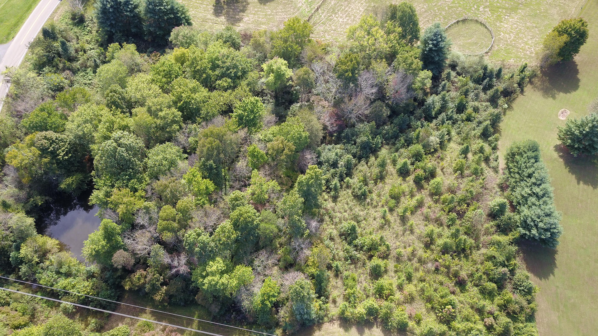 21 R Montvale Road Maryville, TN 37803 - Photo 4 of 9 DSC1965-12