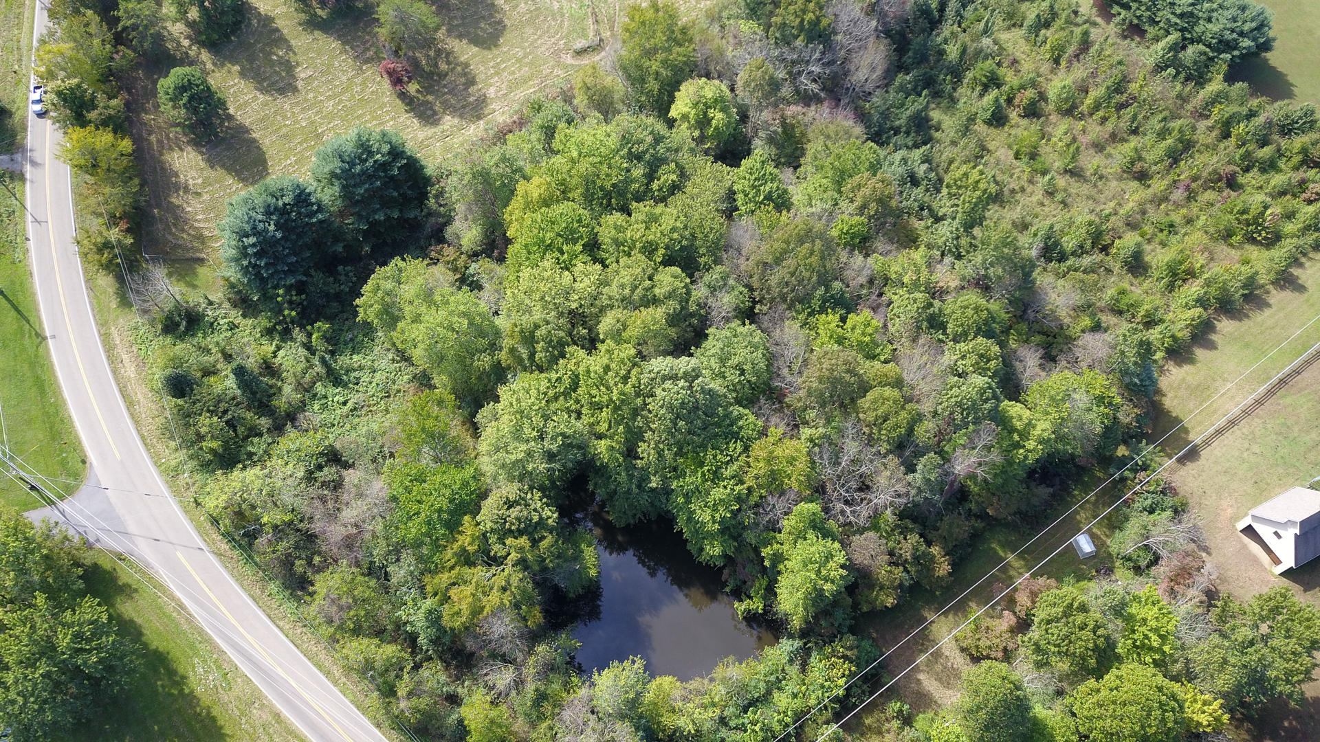 21 R Montvale Road Maryville, TN 37803 - Photo 9 of 9 DSC1965-14