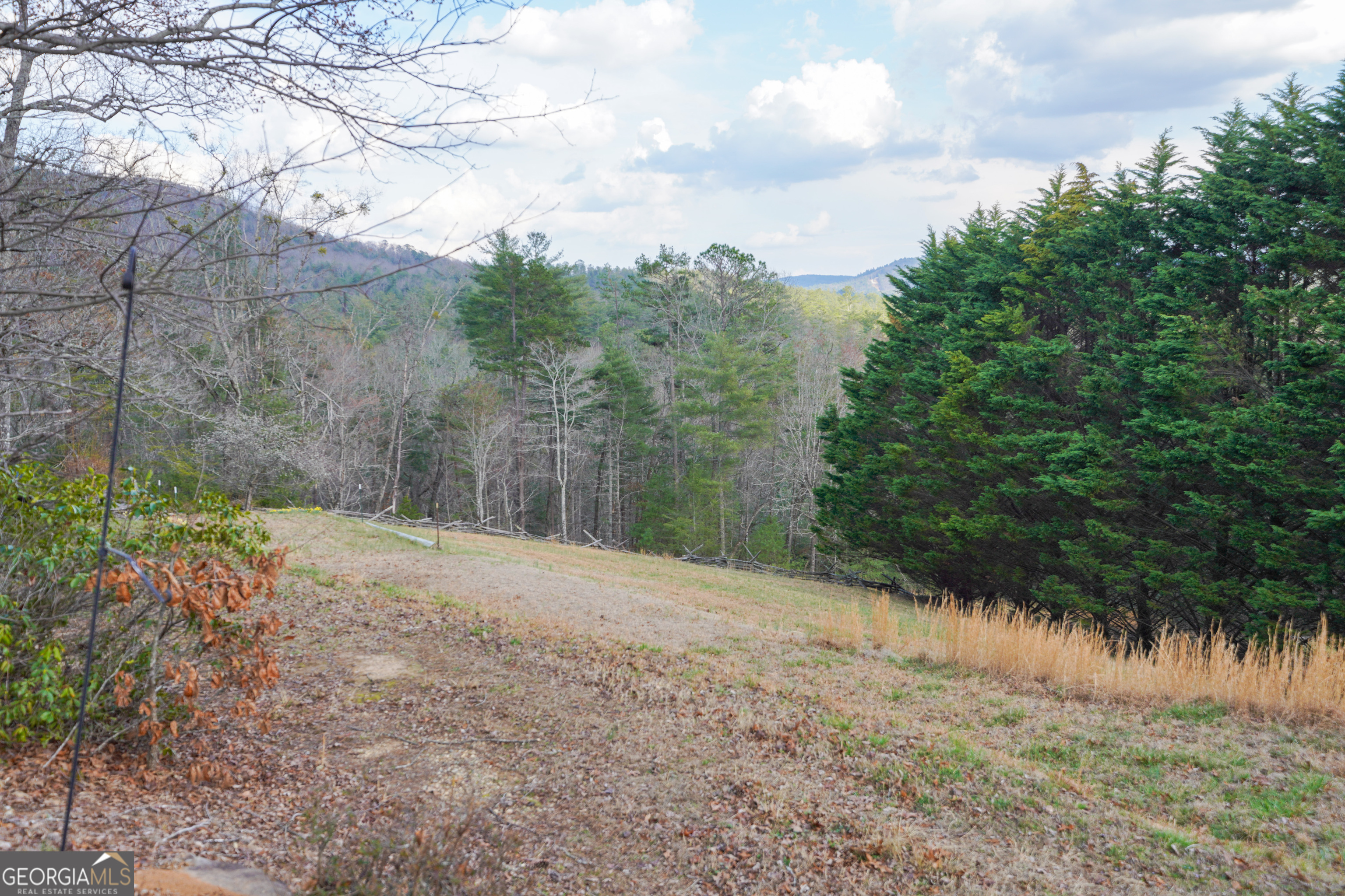 5232 Crow Creek Road Lakemont, GA 30552 - Photo 41 of 90 a backyard of a house with lots of green space