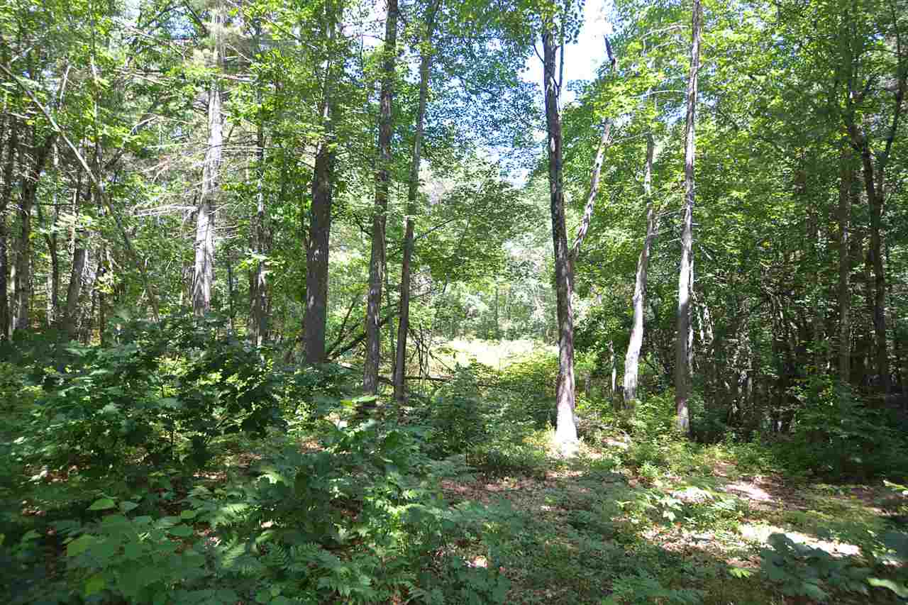 6 Mulberry Lane Amherst, NH 03031 - Photo 11 of 35