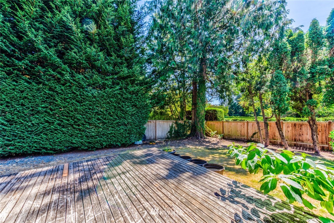 7611 Northeast 12th Street Medina, WA 98039 - Photo 23 of 23 a view of a backyard with potted plants and large trees