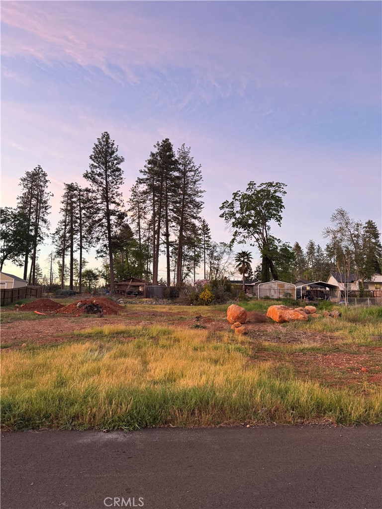 1863 Salida Way Paradise, CA 95969 - Photo 1 of 1 a view of a yard with swimming pool and trees