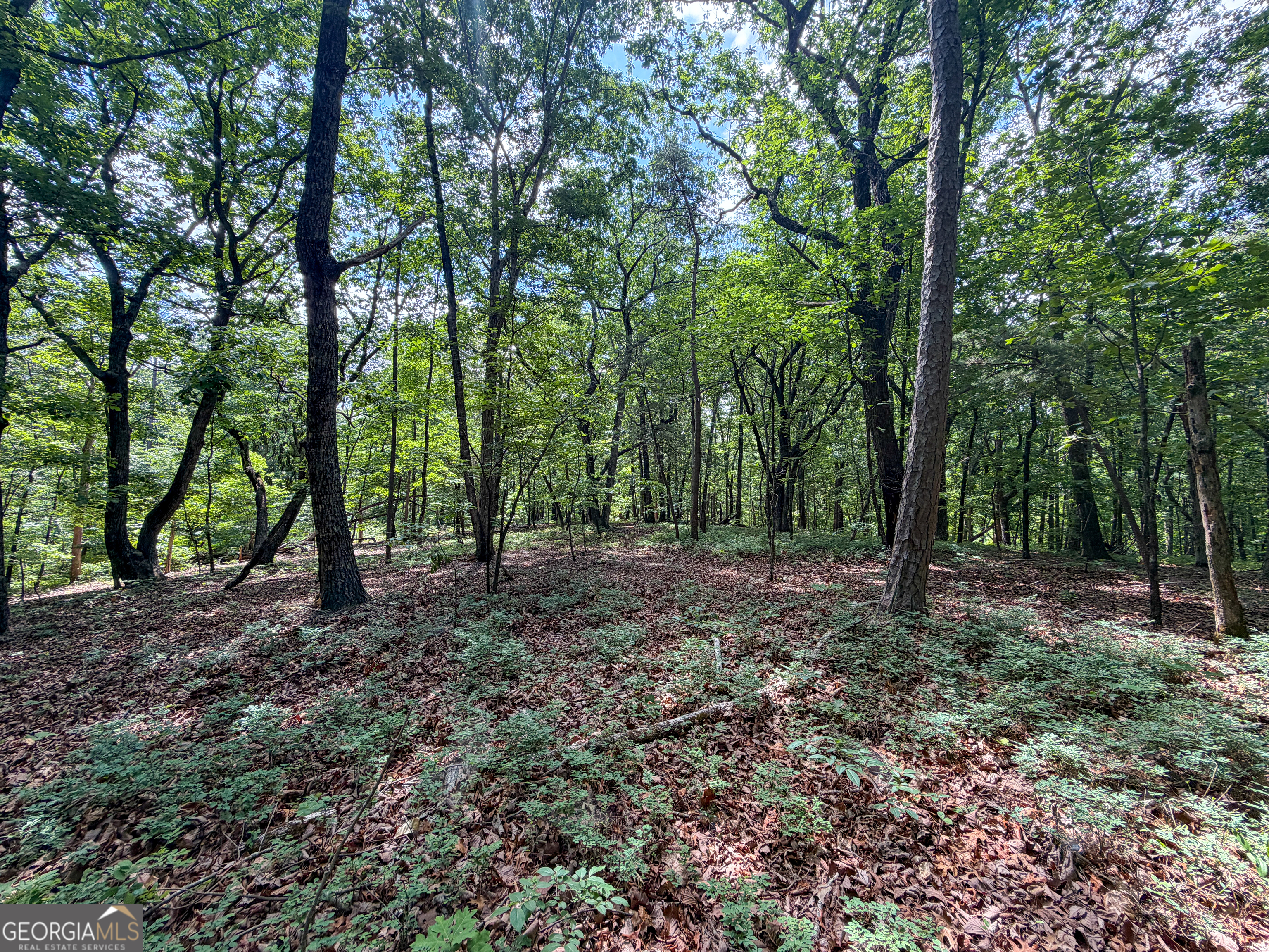 0 Murray Road Homer, GA 30547 - Photo 16 of 28