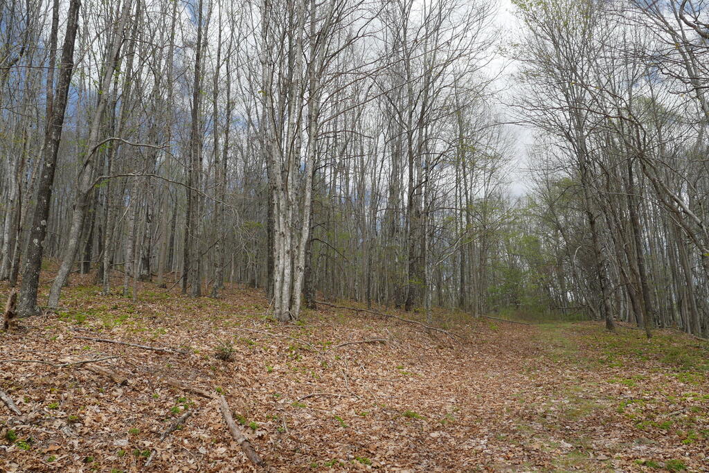 4020 Freestone Valley Road Tannersville, VA 24377 - Photo 84 of 109 Gallery Image 84