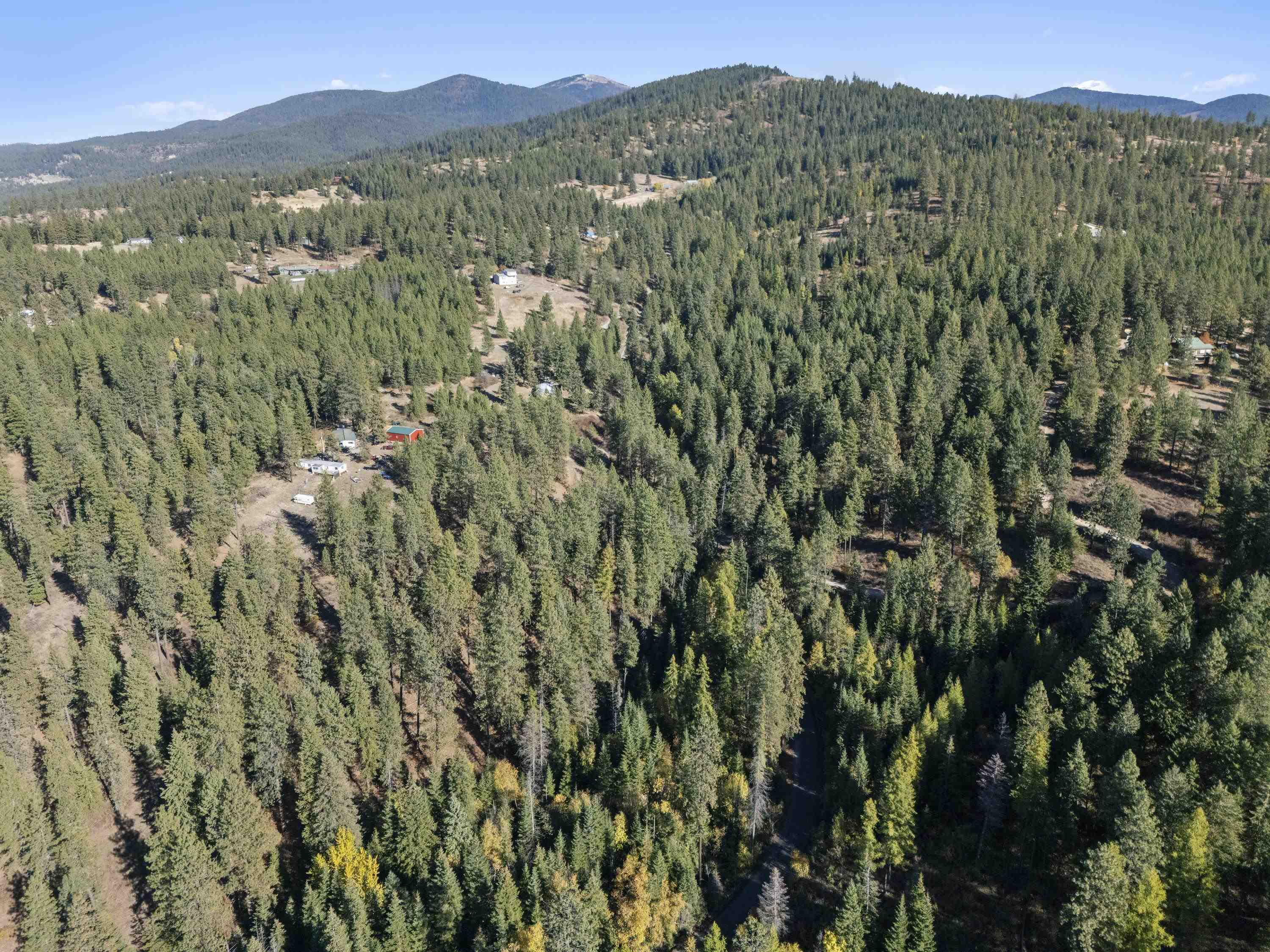 Nna North Madison Road Mead, WA 99021 - Photo 6 of 11