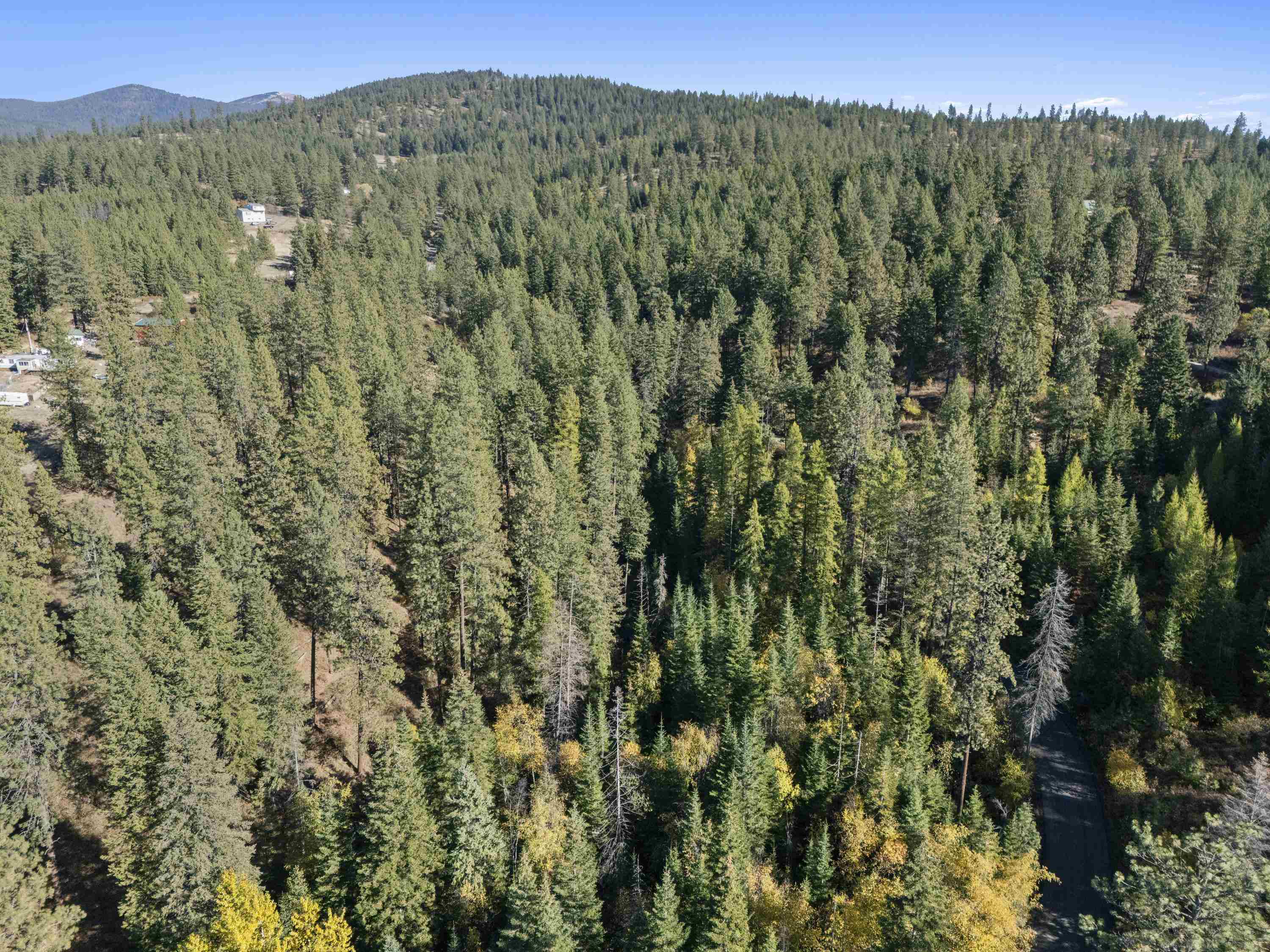 Nna North Madison Road Mead, WA 99021 - Photo 7 of 11