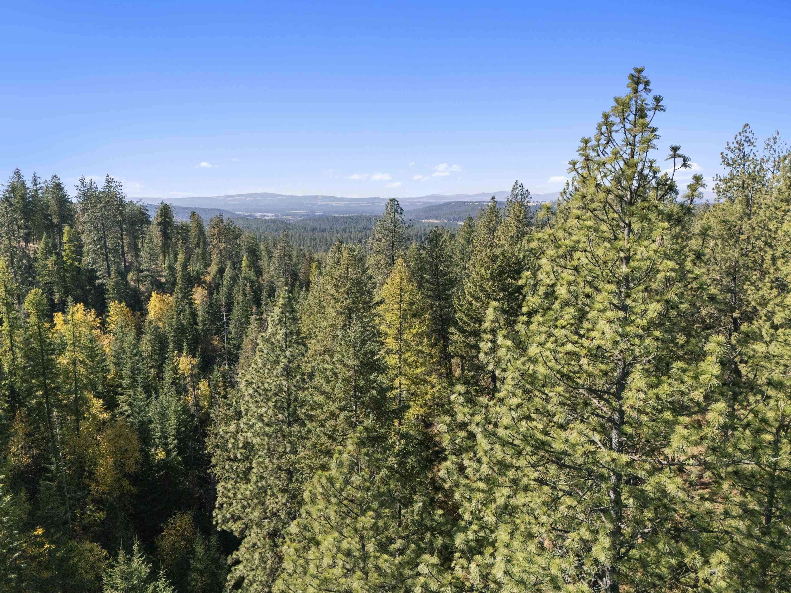 Nna North Madison Road Mead, WA 99021 - Photo 8 of 11