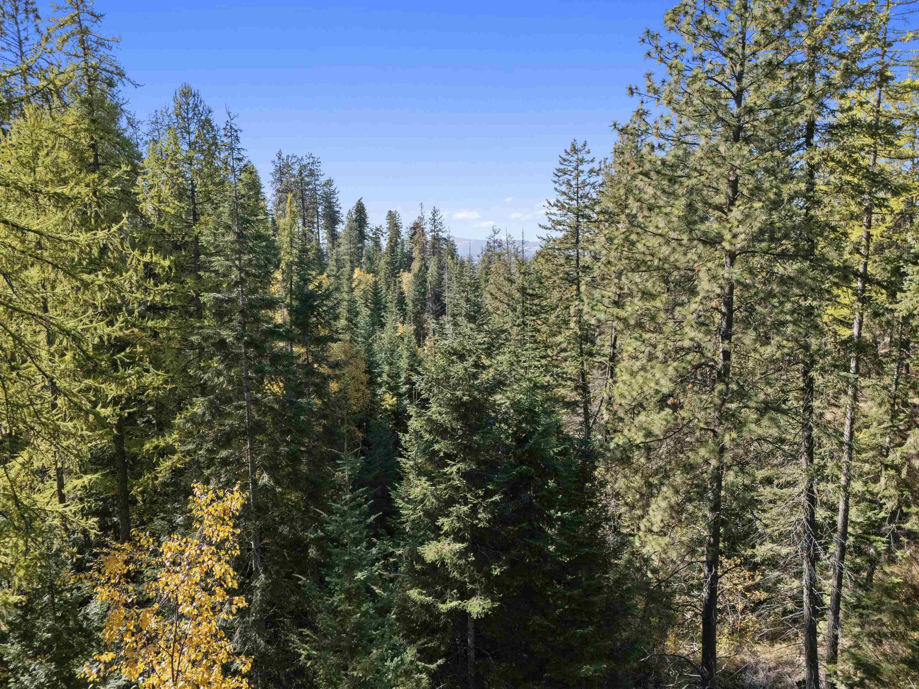 Nna North Madison Road Mead, WA 99021 - Photo 9 of 11