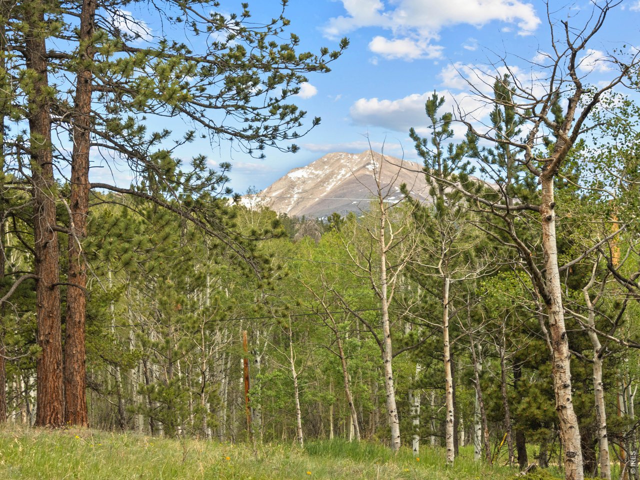 839 Ski Road Allenspark, CO 80510 - Photo 7 of 38