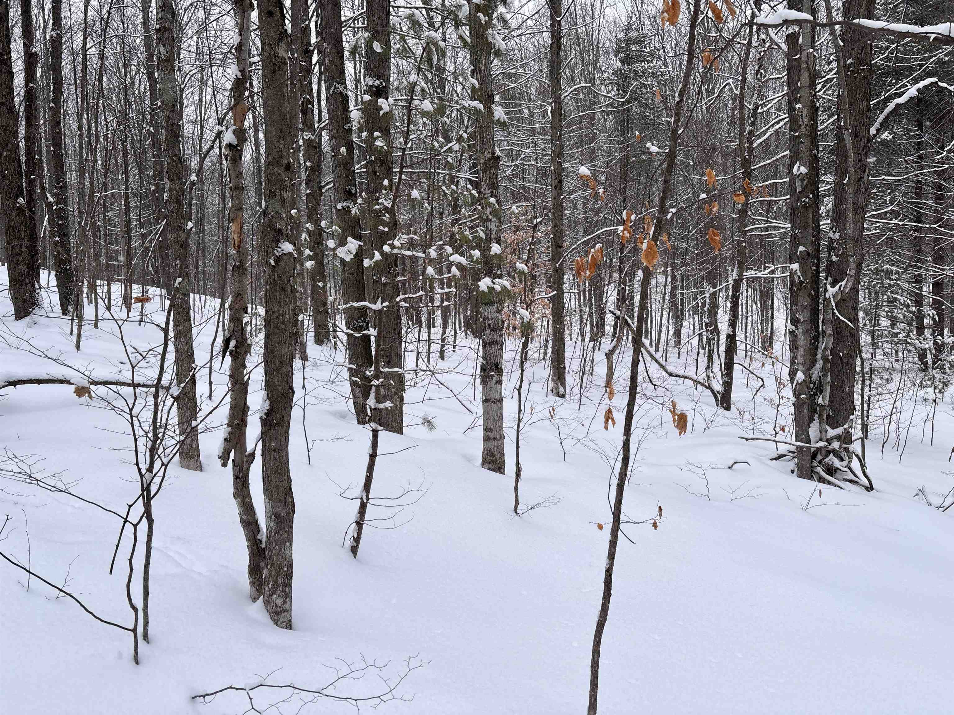 Vl 23 Lake Louise Road Interlochen, MI 49643 - Photo 1 of 9