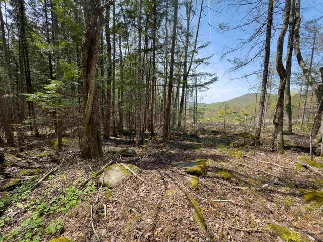 $80,000 | Lot 4 Oregon Road, Lunenburg, VT 05906