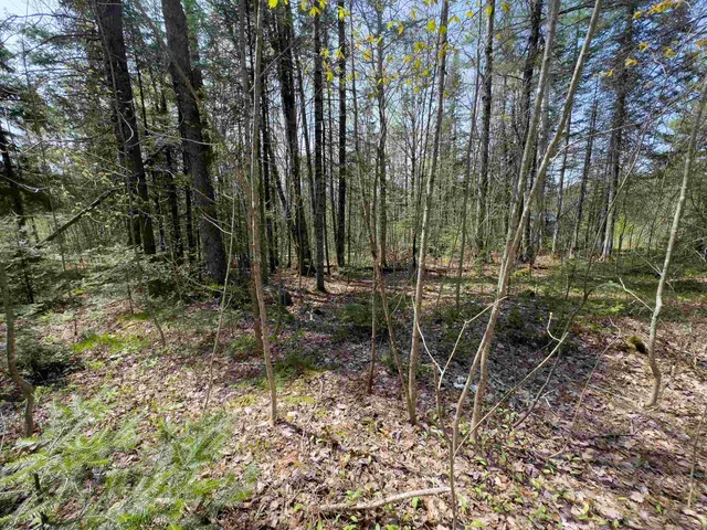 $80,000 | Lot 4 Oregon Road, Lunenburg, VT 05906