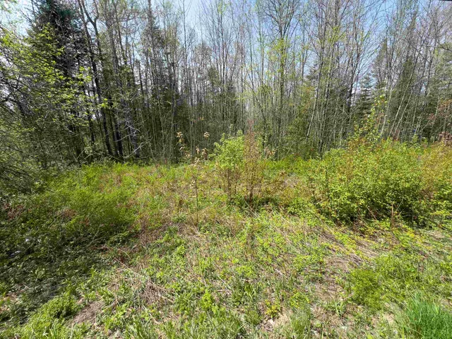 $80,000 | Lot 4 Oregon Road, Lunenburg, VT 05906