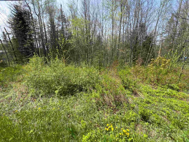 $80,000 | Lot 4 Oregon Road, Lunenburg, VT 05906